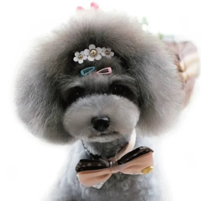 5 шт./набор, детские заколки д – обзор и цена Vintage Fashion Doll